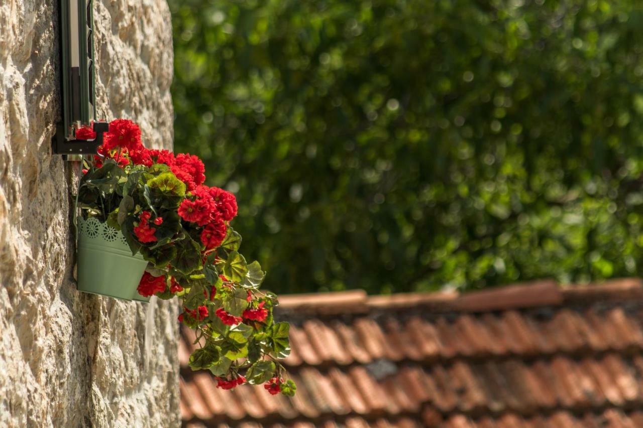 Holiday Home Godinj Donje Rascane Εξωτερικό φωτογραφία