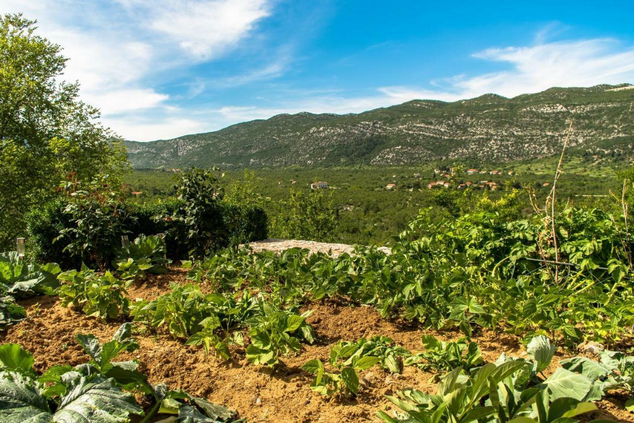 Holiday Home Godinj Donje Rascane Εξωτερικό φωτογραφία
